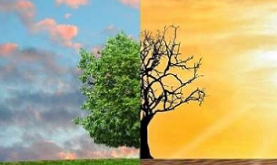 Credit: Pixabay/CC0 Public Domain