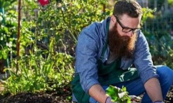 urban gardening. Credit: Joshua Resnick/Shutterstock