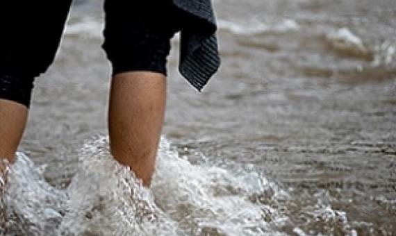  landmark study into Upolu's water has been submitted to the Government of Samoa. (Photo: Vaitogi Asuisui Matafeo)