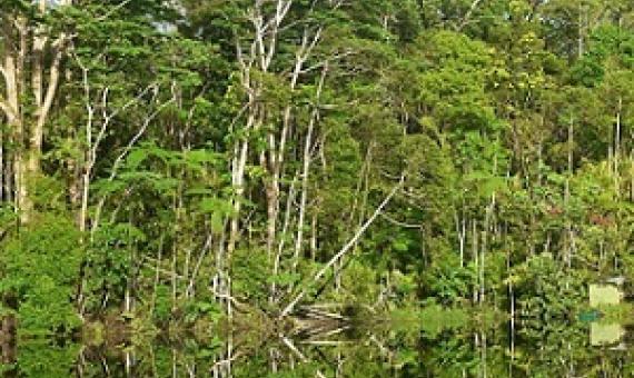 Credit - Kirisitiana Uluwai, www.fbcnews.com.fj