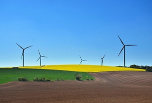 Does going green pay off? Credit: CC0 Public Domain