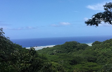 Takitumu Conservation Areas, Rarotonga. Cook Islands. Credit - National Environment Service