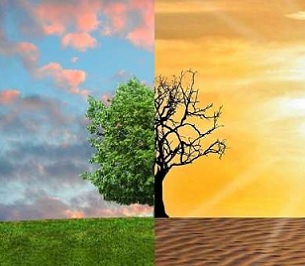 Credit: Pixabay/CC0 Public Domain