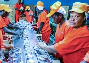 On the processing line at a Pacific Islands tuna cannery. Photo: Francisco Blaha.