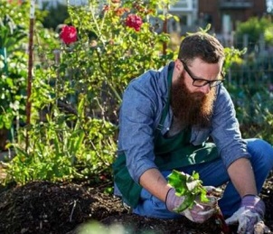 urban gardening. Credit: Joshua Resnick/Shutterstock