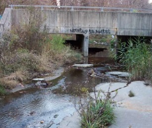 Civil and Environmental Engineering Assistant Professor Aditi Bhaskar’s recent study uncovered profound differences in streamflow changes in various urban watersheds. Credit: Andy Miller
