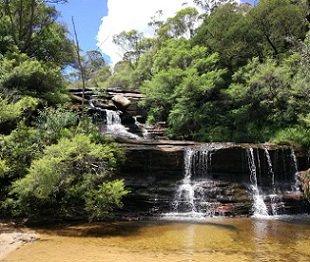 Wentworth Falls in the Blue Mountains. Embracing planetary health, a more holistic way of thinking about the environment, is the only way we can protect it. Credit - Shutterstock