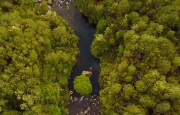 Whanganui River in Tongariro National Park, New Zealand'. source - https://www.theguardian.com