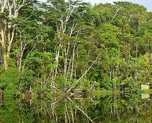 Credit - Kirisitiana Uluwai, www.fbcnews.com.fj